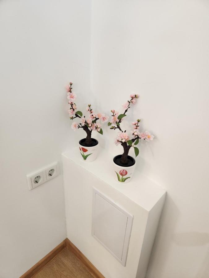 Apartman Zagreb Cca 42M2 With Free Parking Esterno foto