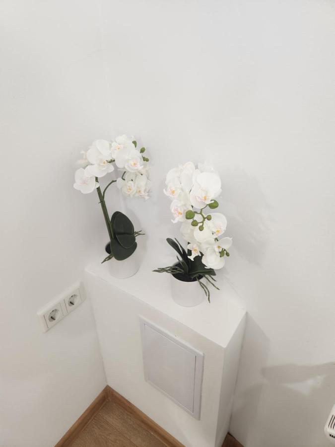 Apartman Zagreb Cca 42M2 With Free Parking Esterno foto